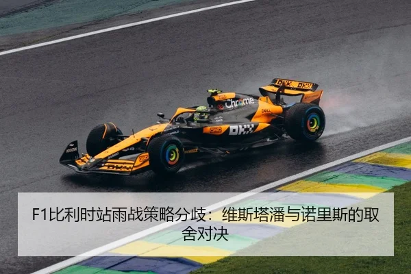 F1比利时站雨战策略分歧：维斯塔潘与诺里斯的取舍对决
